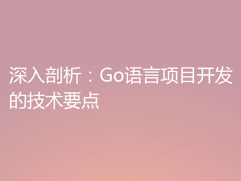 深入剖析:Go语言项目开发的技术要点