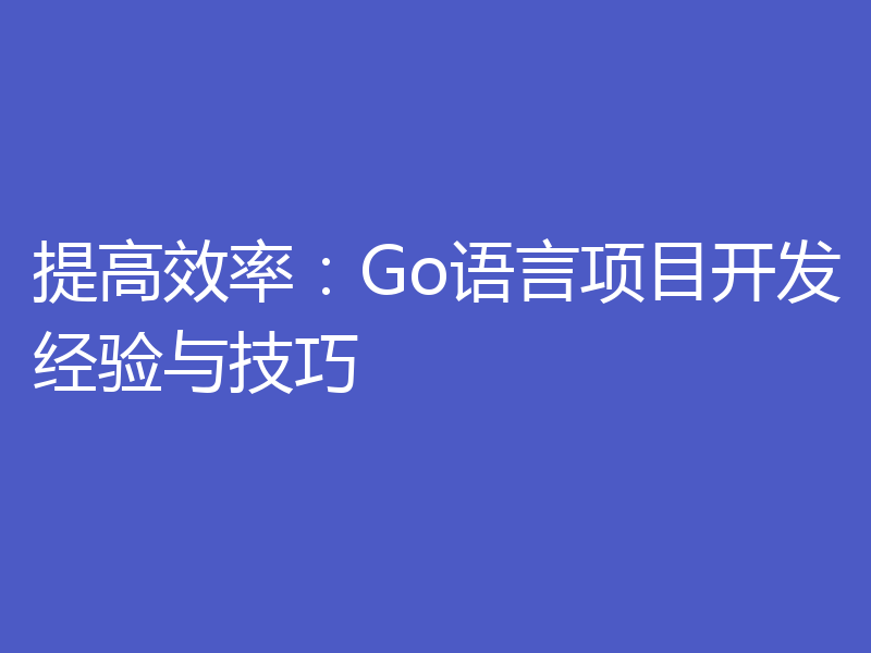 提高效率:Go语言项目开发经验与技巧