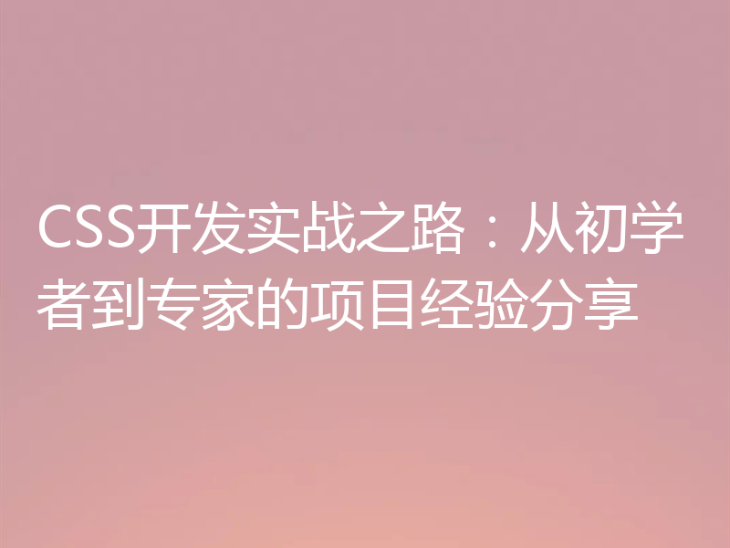 CSS开发实战之路:从初学者到专家的项目经验分享