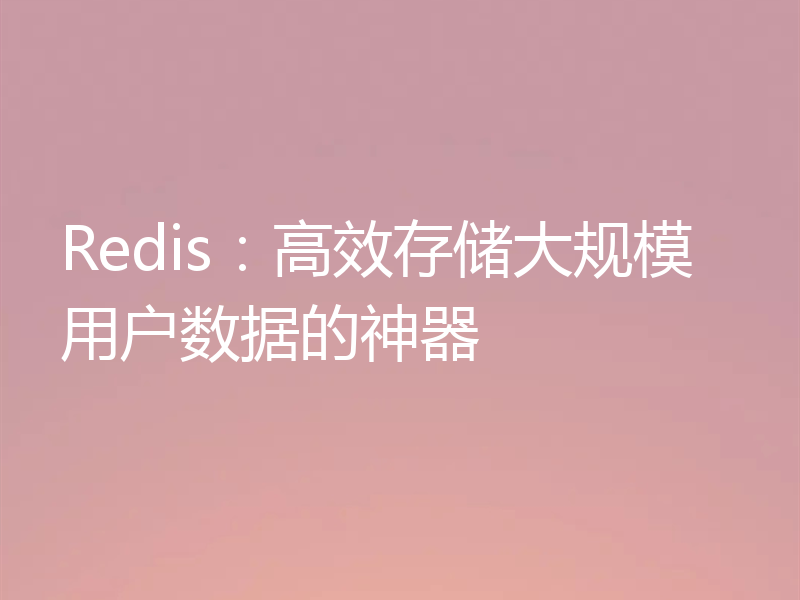 Redis:高效存储大规模用户数据的神器