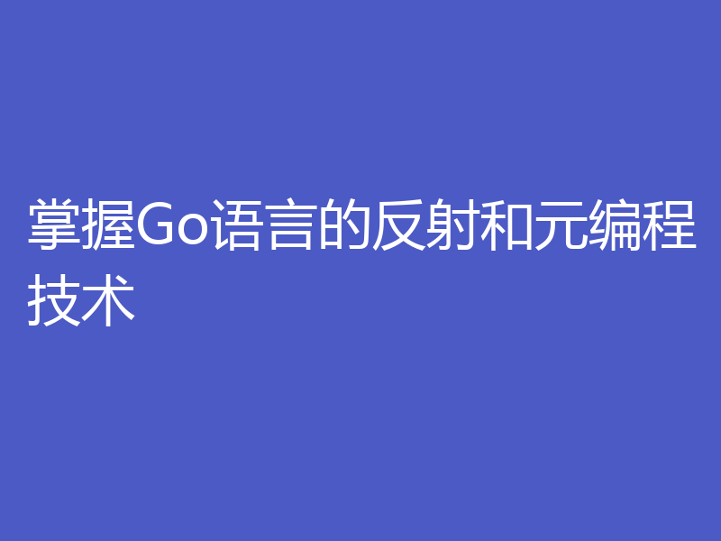 掌握Go语言的反射和元编程技术