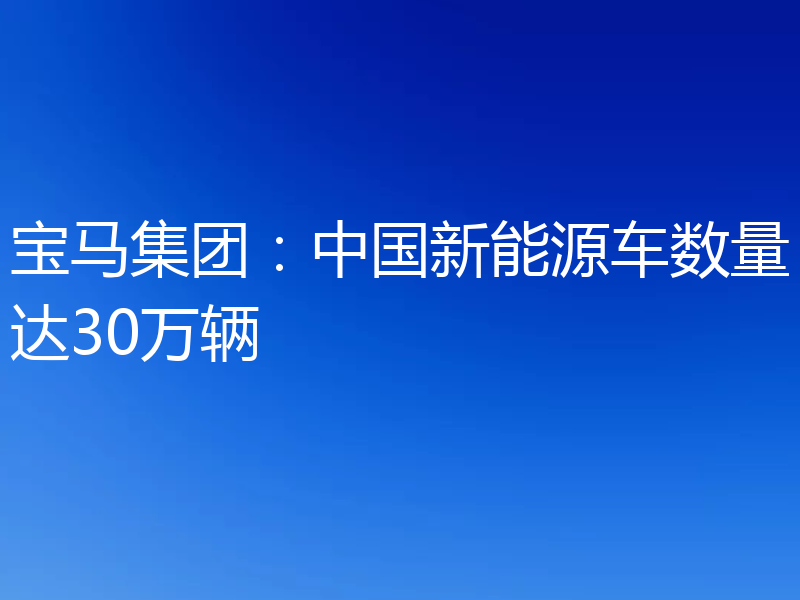 宝马集团:中国新能源车数量达30万辆