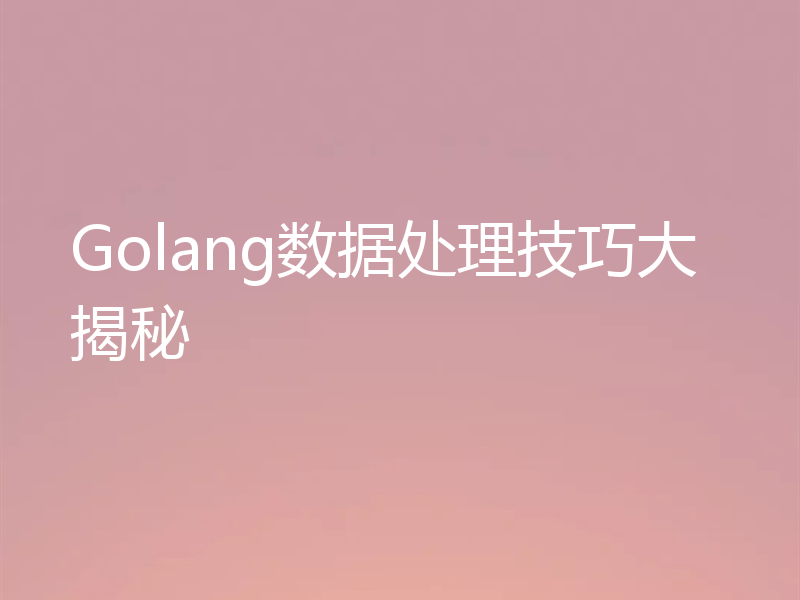 Golang数据处理技巧大揭秘