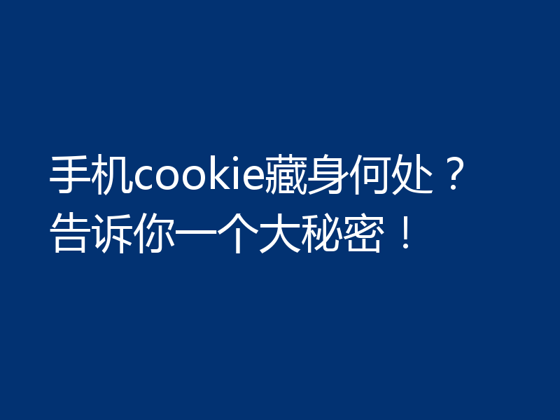 手机cookie藏身何处?告诉你一个大秘密!