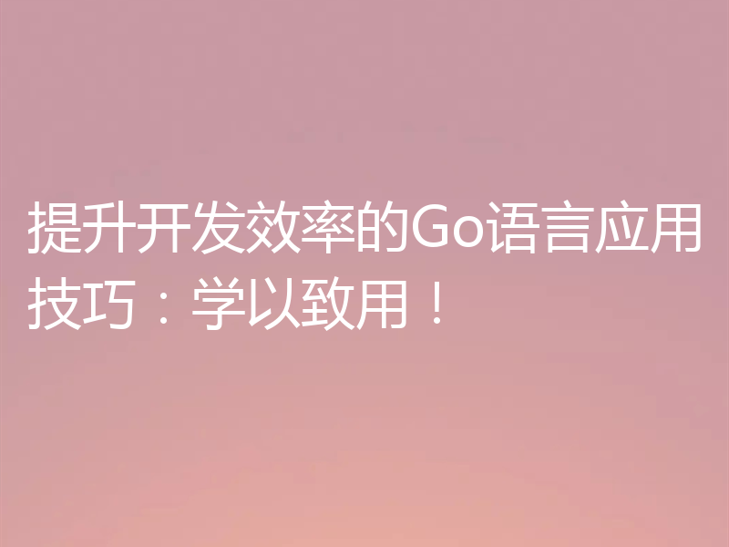 提升开发效率的Go语言应用技巧:学以致用!