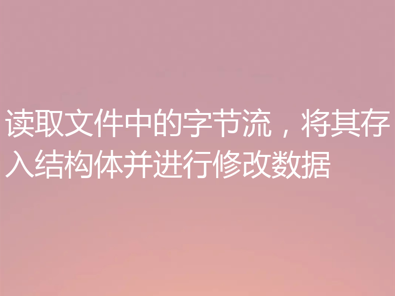 读取文件中的字节流,将其存入结构体并进行修改数据