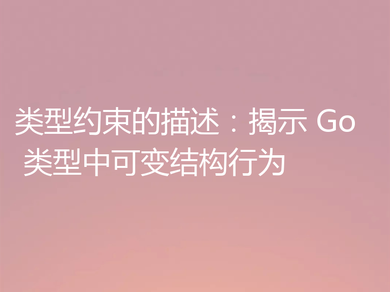 类型约束的描述:揭示 Go 类型中可变结构行为