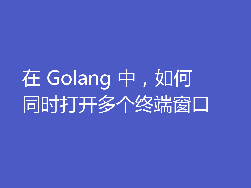 在 Golang 中,如何同时打开多个终端窗口