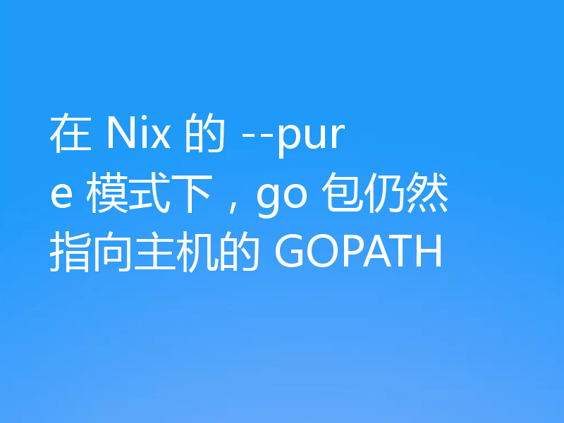 在 Nix 的 --pure 模式下,go 包仍然指向主机的 GOPATH