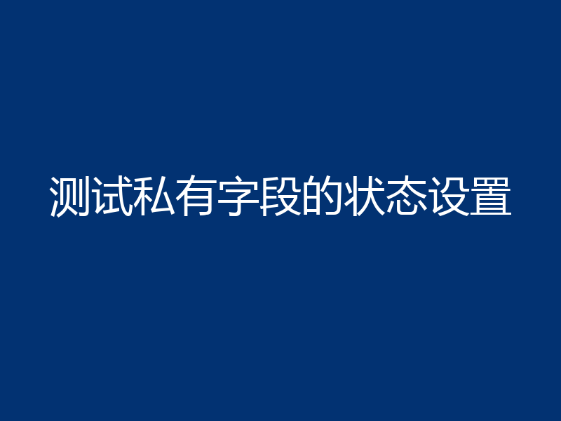 测试私有字段的状态设置