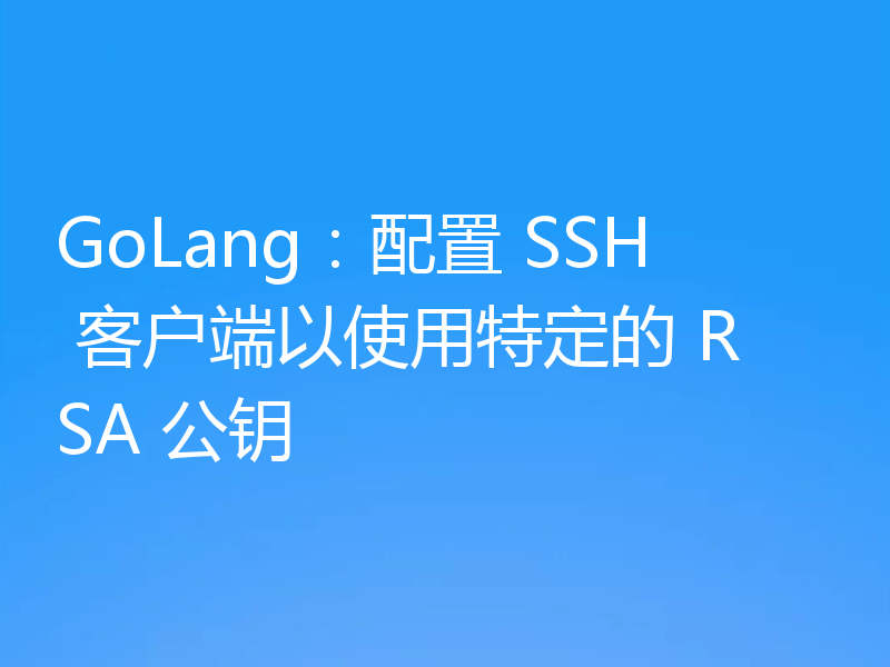 GoLang:配置 SSH 客户端以使用特定的 RSA 公钥