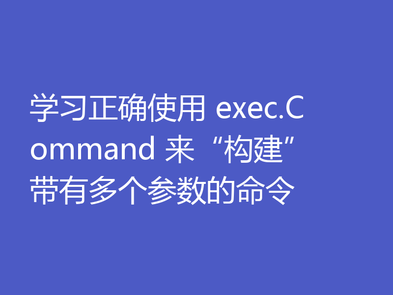 学习正确使用 exec.Command 来“构建”带有多个参数的命令