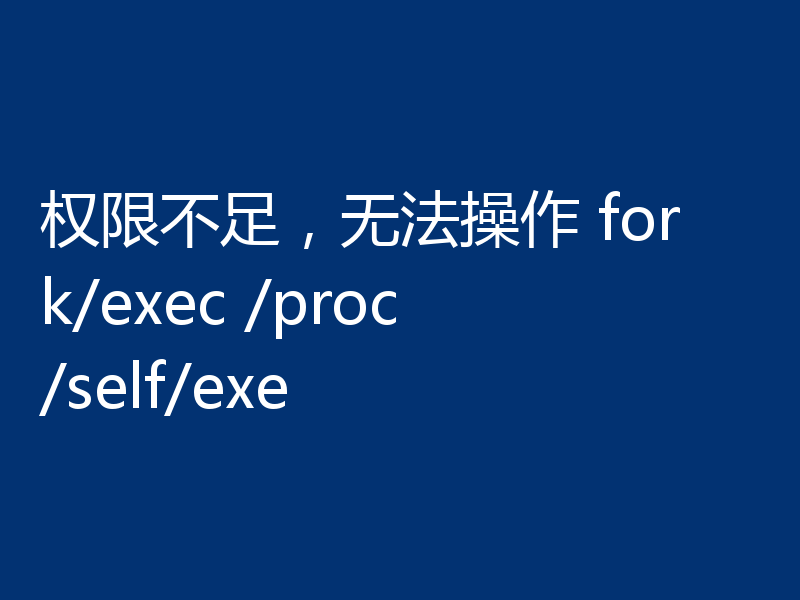 权限不足,无法操作 fork/exec /proc/self/exe