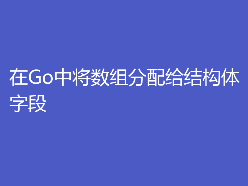 在Go中将数组分配给结构体字段