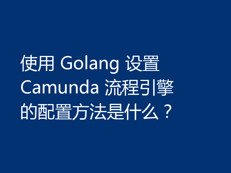 使用 Golang 设置 Camunda 流程引擎的配置方法是什么?