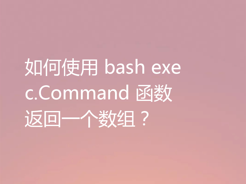如何使用 bash exec.Command 函数返回一个数组?