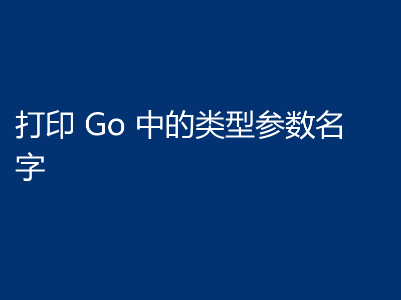 打印 Go 中的类型参数名字