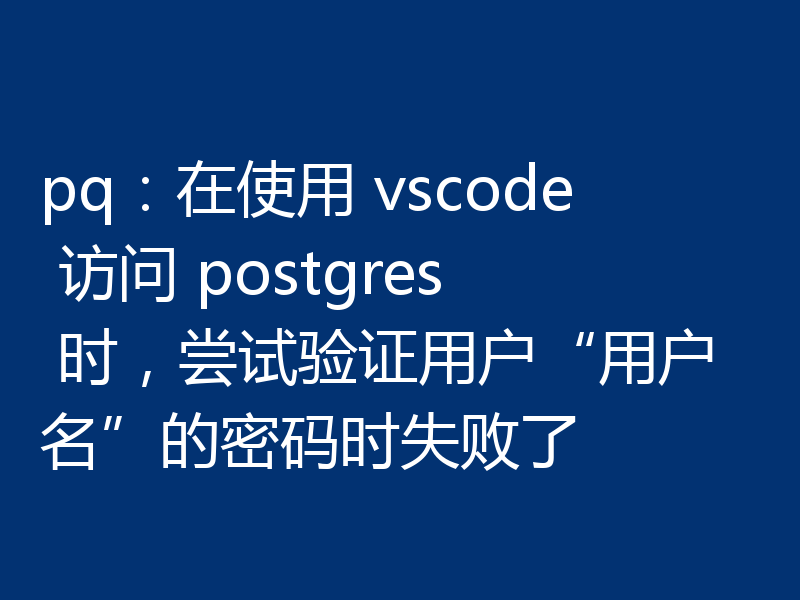 pq:在使用 vscode 访问 postgres 时,尝试验证用户“用户名”的密码时失败了