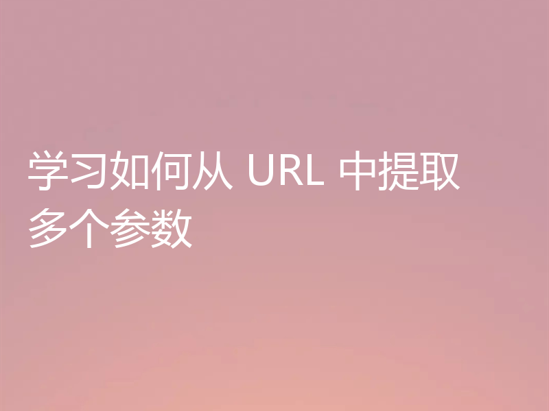 学习如何从 URL 中提取多个参数