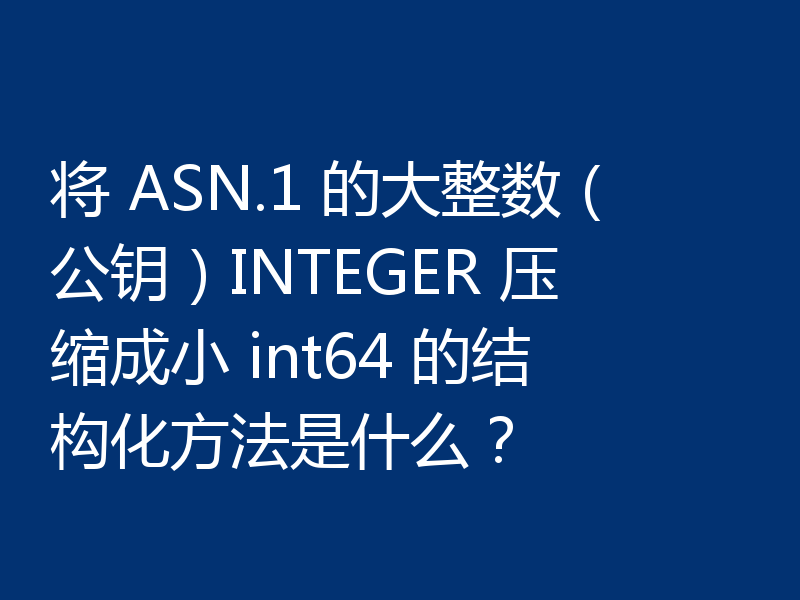 将 ASN.1 的大整数(公钥)INTEGER 压缩成小 int64 的结构化方法是什么?