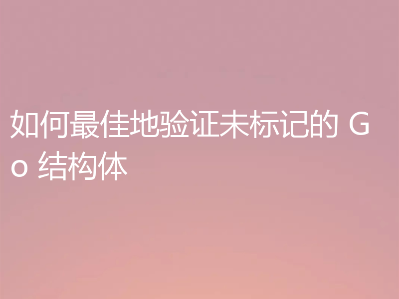 如何最佳地验证未标记的 Go 结构体