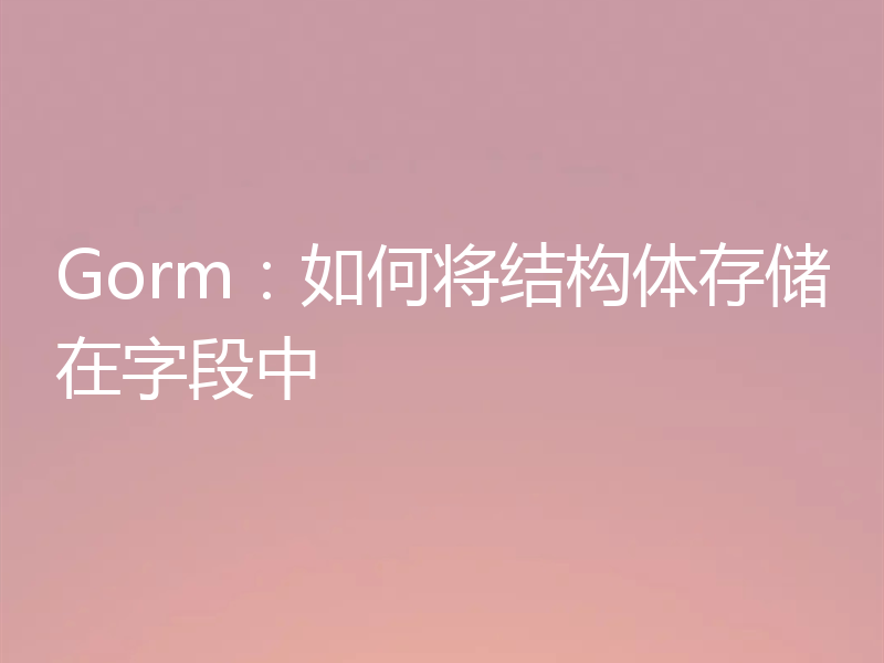 Gorm:如何将结构体存储在字段中