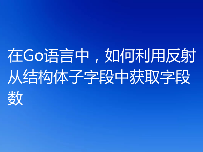 在Go语言中,如何利用反射从结构体子字段中获取字段数