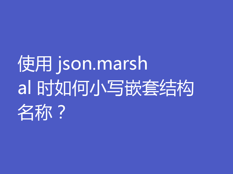 使用 json.marshal 时如何小写嵌套结构名称?