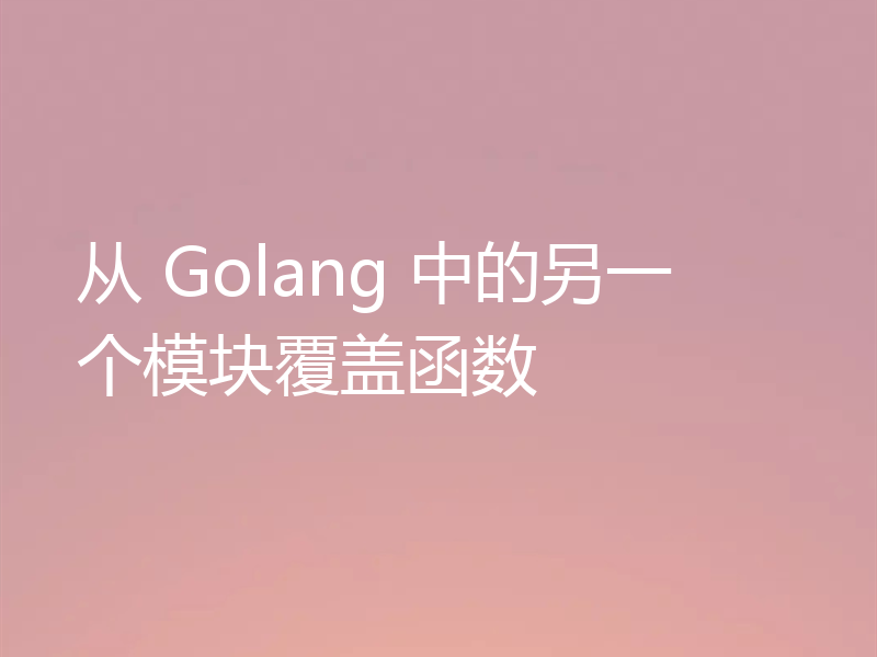 从 Golang 中的另一个模块覆盖函数