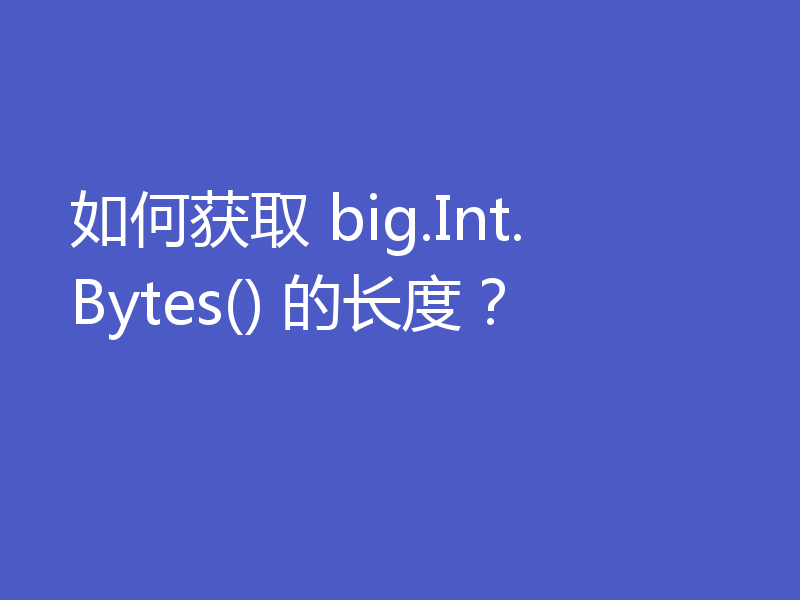 如何获取 big.Int.Bytes() 的长度?