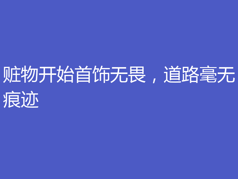 赃物开始首饰无畏，道路毫无痕迹