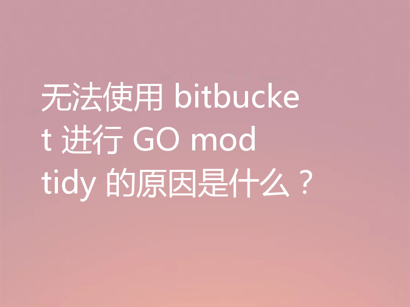 无法使用 bitbucket 进行 GO mod tidy 的原因是什么?