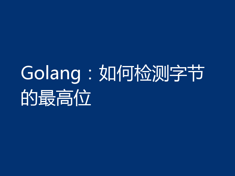 Golang:如何检测字节的最高位