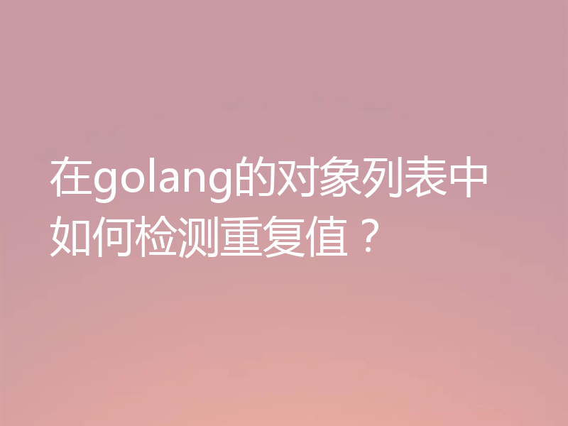 在golang的对象列表中如何检测重复值?