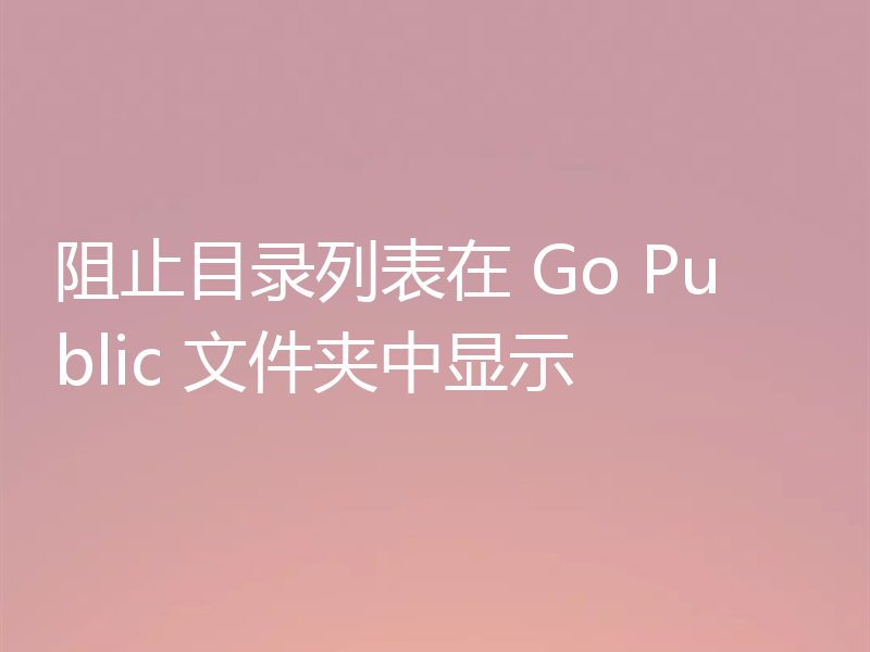 阻止目录列表在 Go Public 文件夹中显示