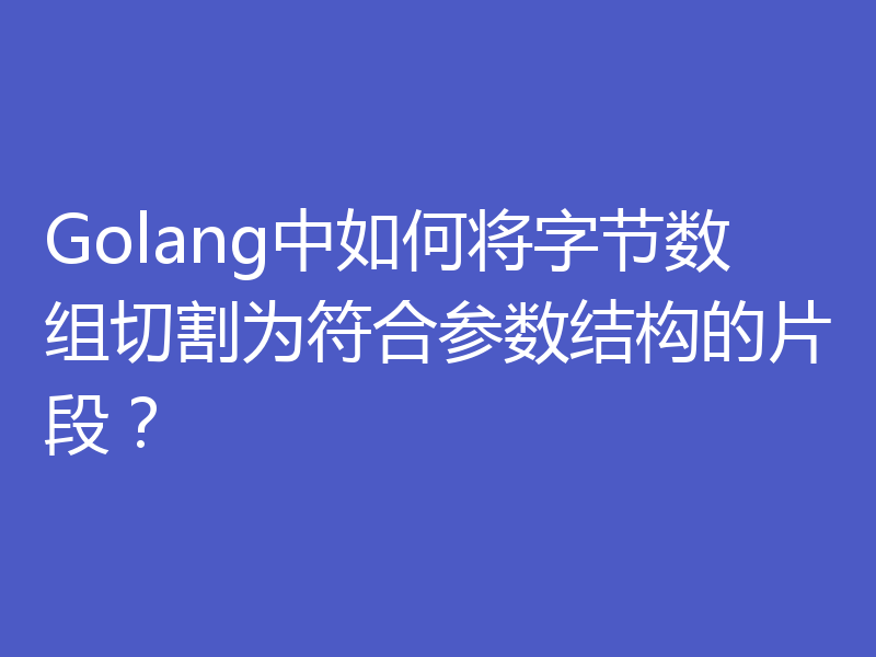 Golang中如何将字节数组切割为符合参数结构的片段?