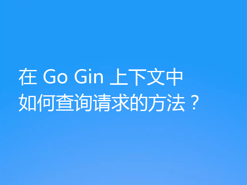 在 Go Gin 上下文中如何查询请求的方法?