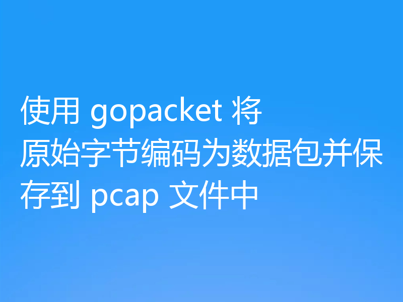 使用 gopacket 将原始字节编码为数据包并保存到 pcap 文件中