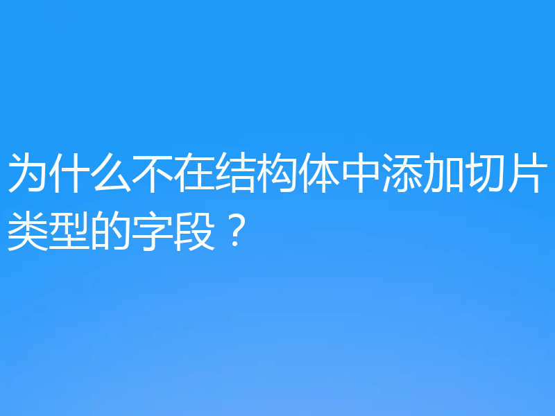 为什么不在结构体中添加切片类型的字段?