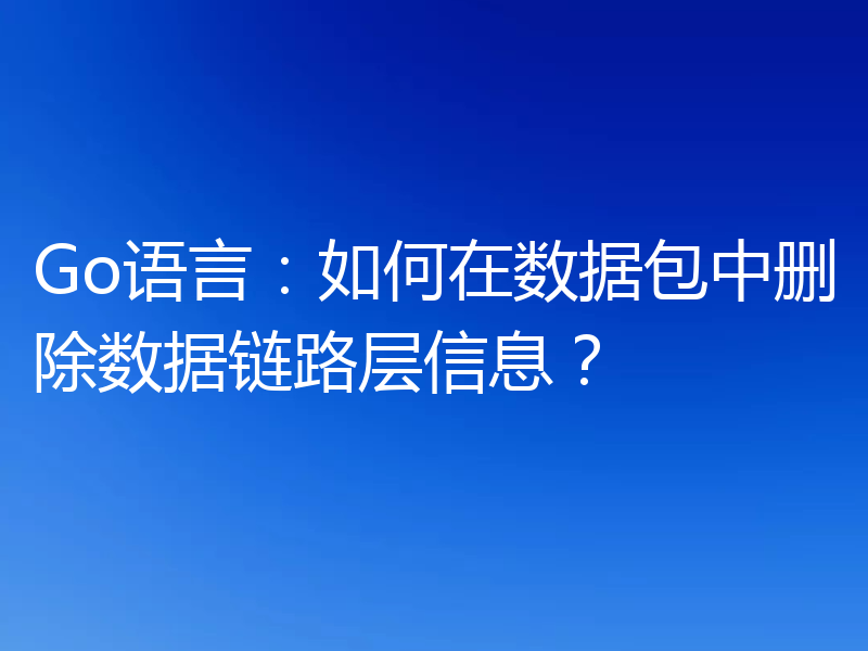 Go语言:如何在数据包中删除数据链路层信息?