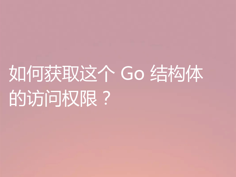 如何获取这个 Go 结构体的访问权限?