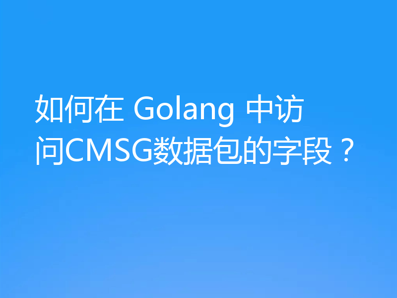 如何在 Golang 中访问CMSG数据包的字段?