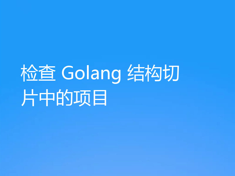 检查 Golang 结构切片中的项目