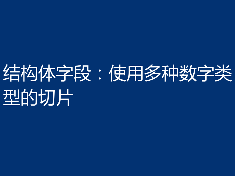结构体字段:使用多种数字类型的切片