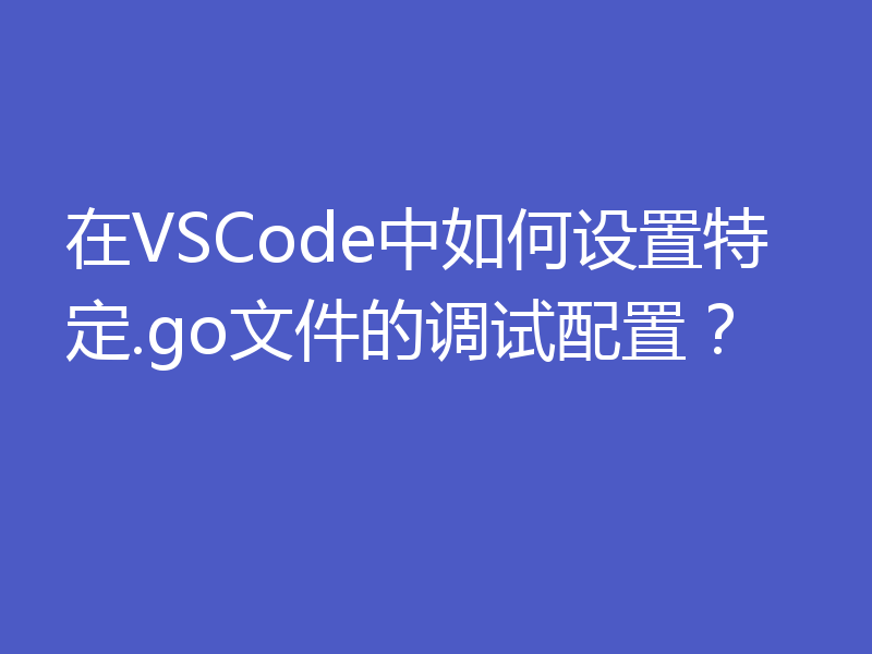 在VSCode中如何设置特定.go文件的调试配置?