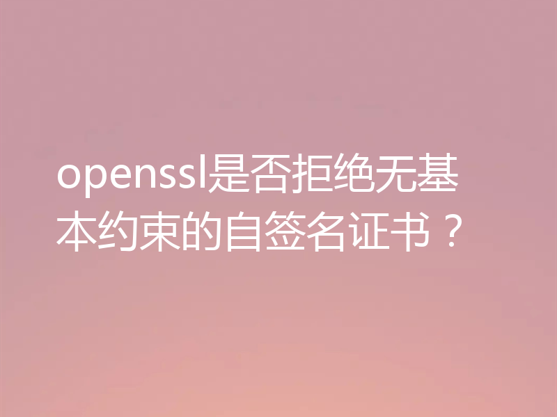 openssl是否拒绝无基本约束的自签名证书?
