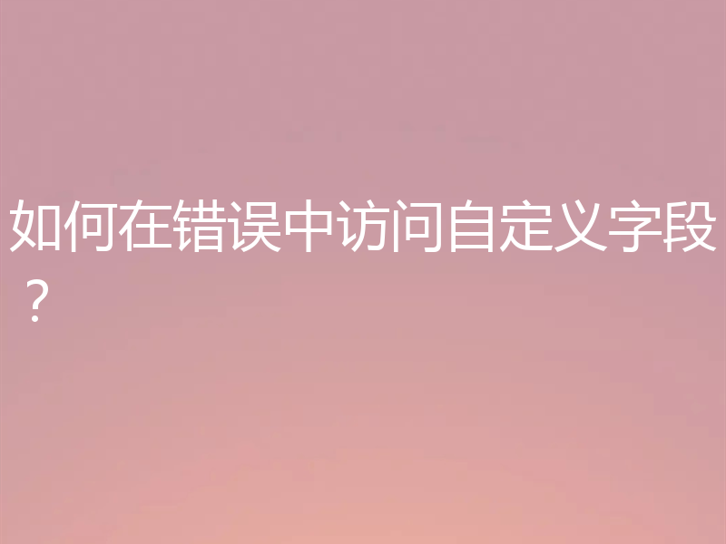 如何在错误中访问自定义字段?